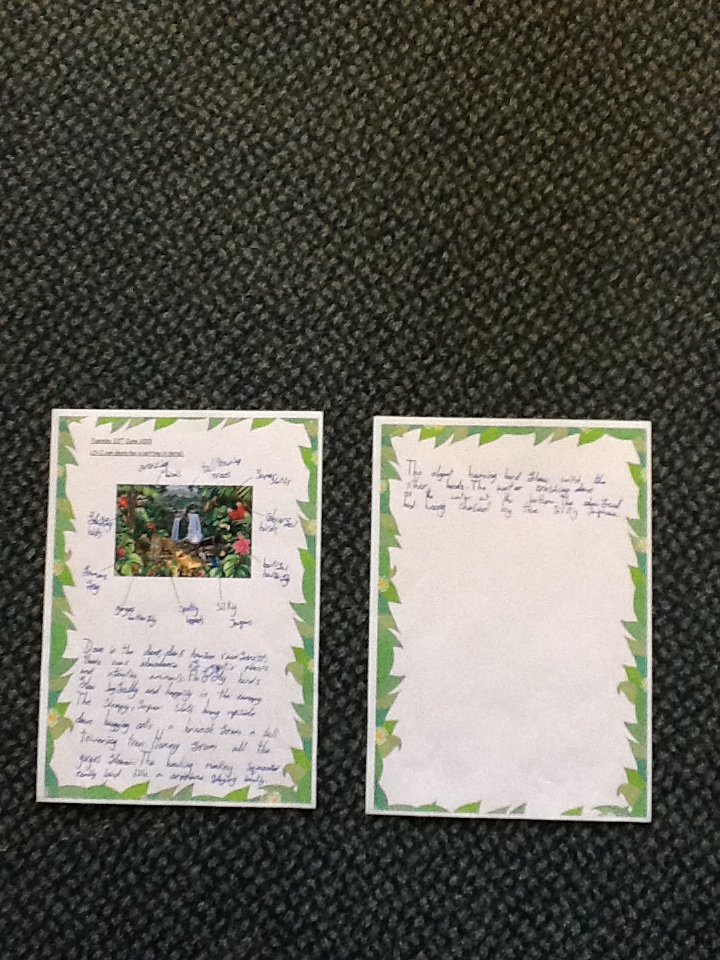 Creative writing description of rainforest picture