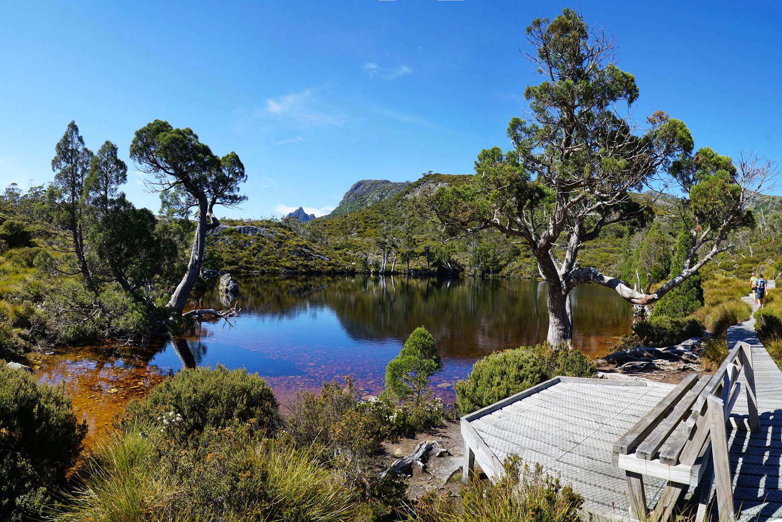 Cradle Mountain Summit (Cradle MountainLake St Clair National Park