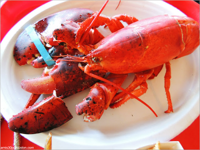 The Lobster Pool: Langosta de Caparazón Duro en Rockport