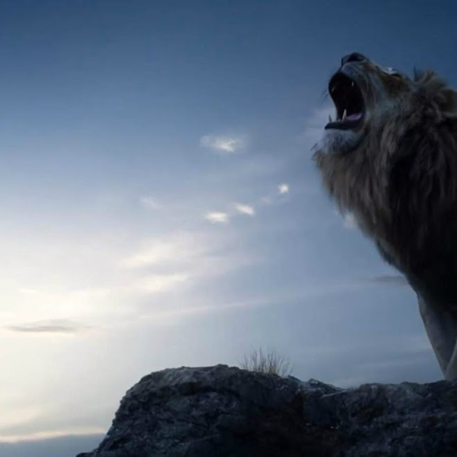 The Lion King Trailer - Original Animated Film vs Live Action Movie : ディズニー映画の最新作「ザ・ライオン・キング」は、オリジナルのアニメ映画をどう実写化したのか ? !、同じシーンのカットを並べてみた比較ビデオ ! !