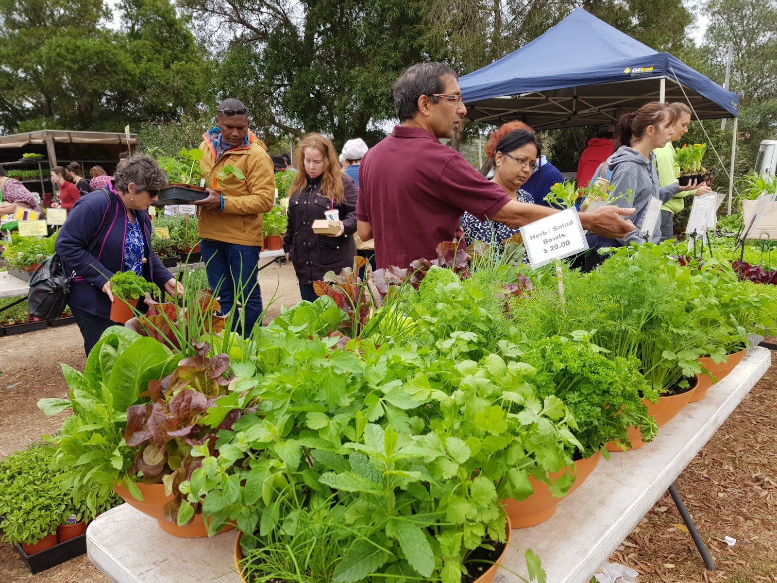 anna maria Farmers' Markets, Castle Hill, Sydney
