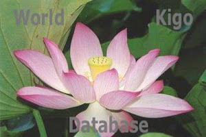 World Kigo Database