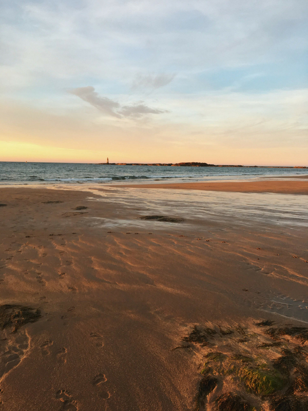 One of North Berwick's Most Beautiful Beaches Seacliff Beach