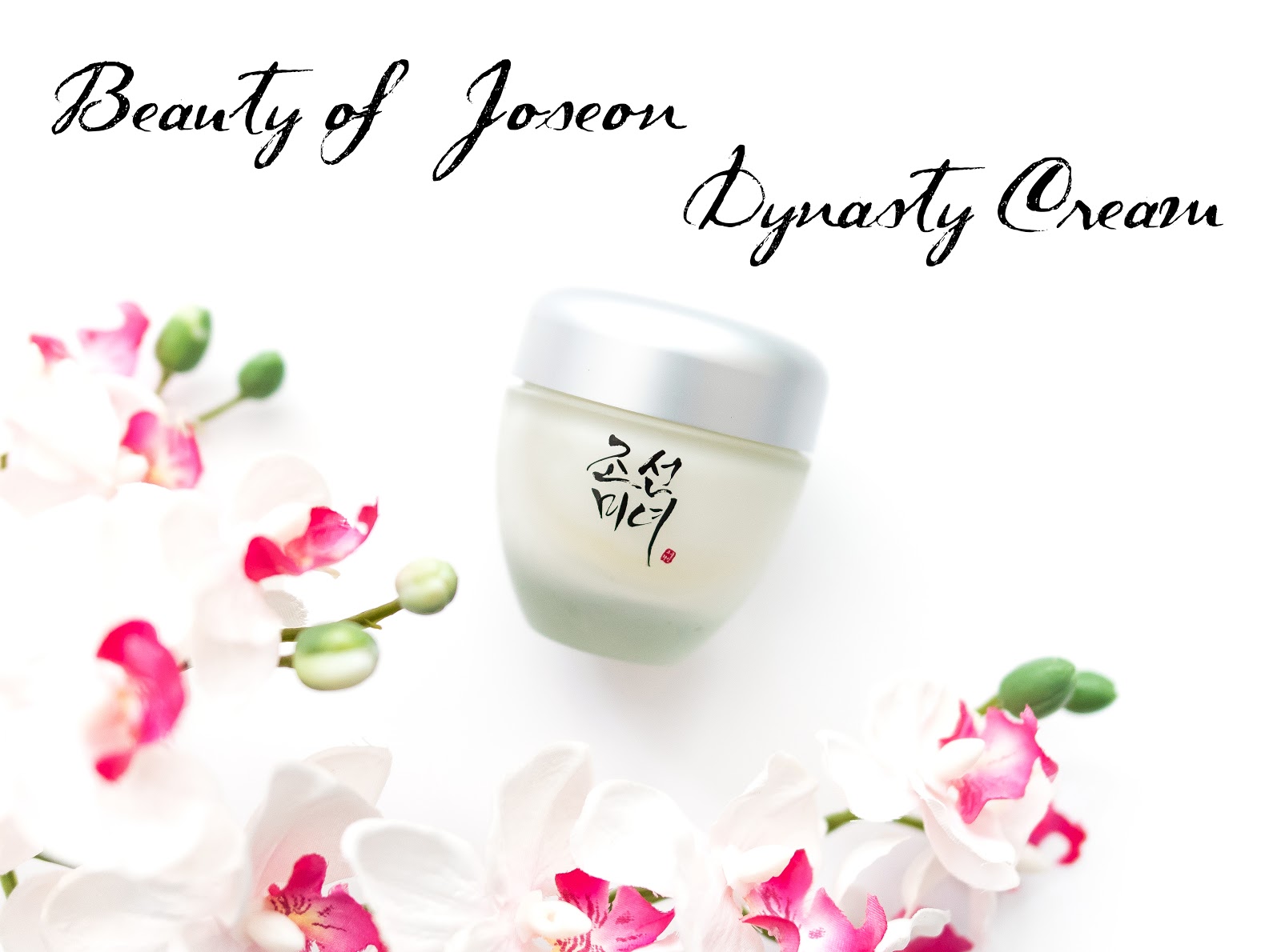 Review | Beauty of Joseon Dynasty Cream | Gloriaus Days