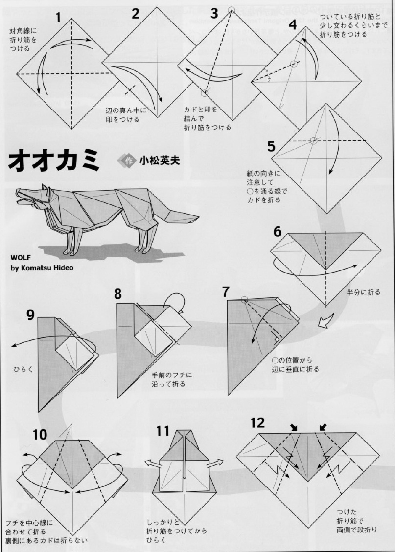 PAPIROFLEXIA PARA TODS LOBO