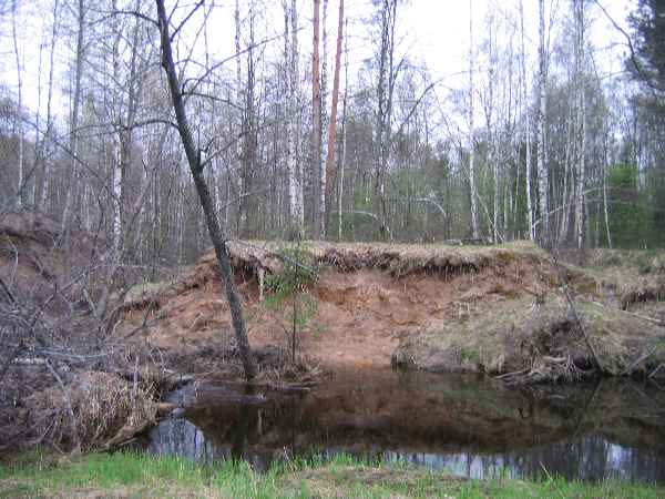 Черногория на карте Черногория на карте