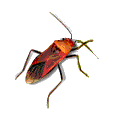 cucaracha-animada-gif2