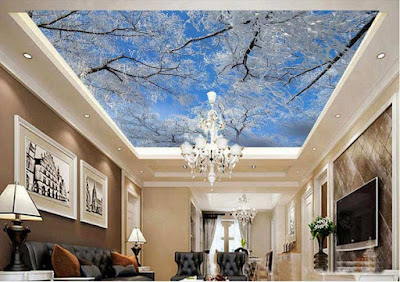 Stretch ceiling,3d stretch ceiling, stretch ceiling DIY, stretch ceiling designs,3d ceiling art