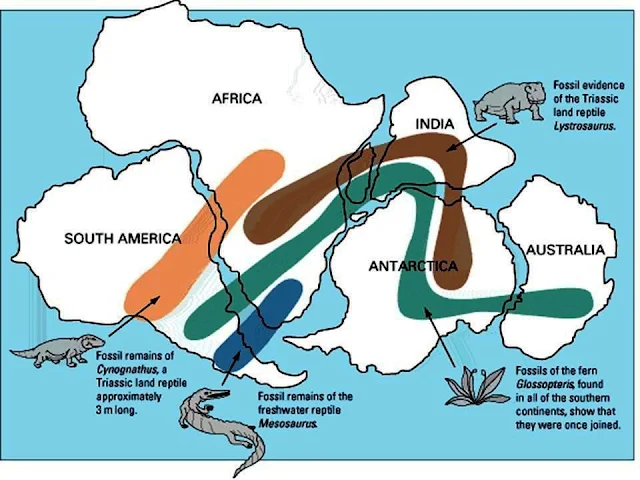 Geology, Biology Agree on Pangaea Supercontinent Breakup Dates