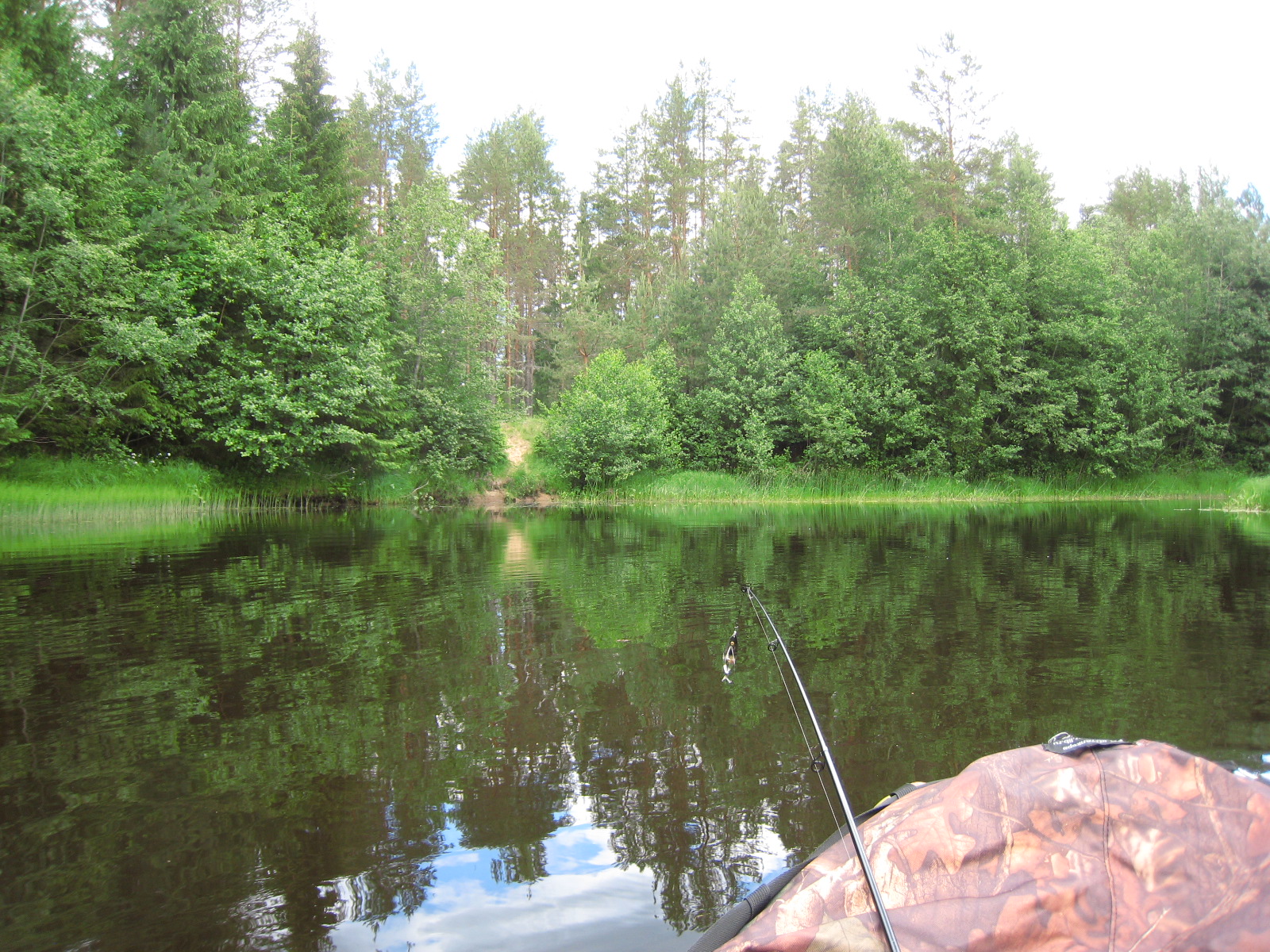 Озеро щирское псковская область
