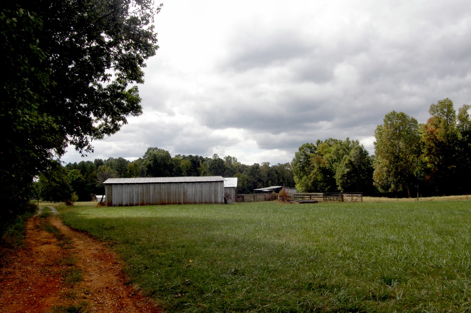 Food Gratitude Saturday Auction in Caldwell
