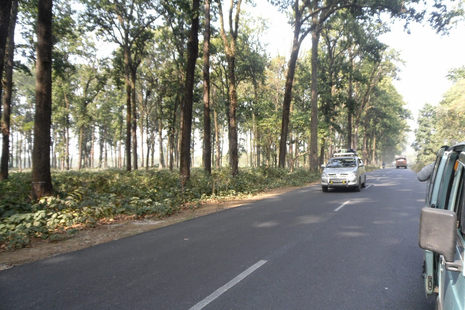 Gorumara Road Dooars