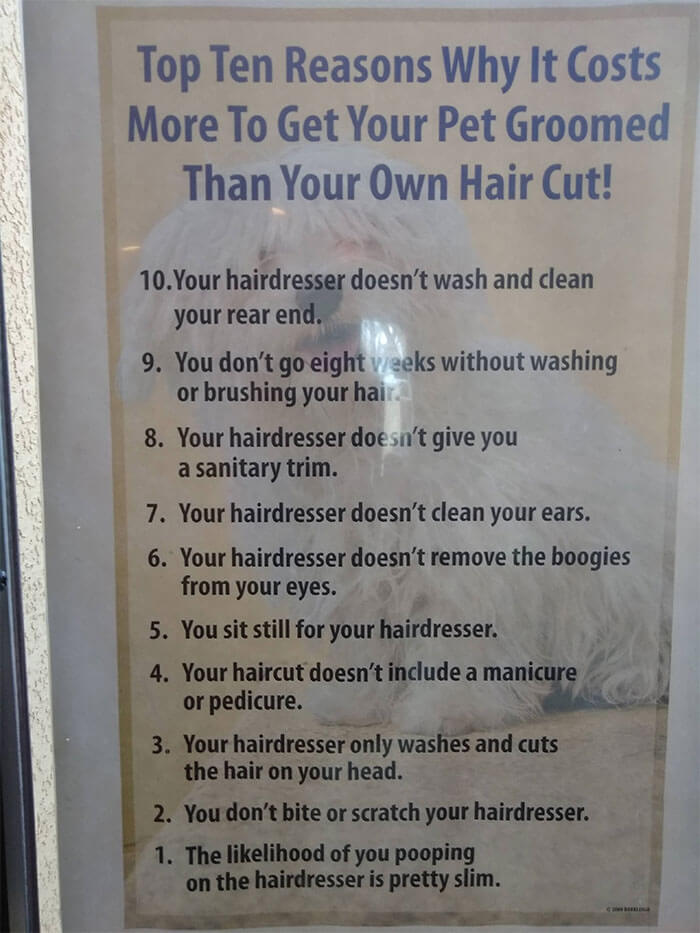 Hilarious Poster Explains To Customers Why A Groomer's Services Cost More Than A Hairdresser's