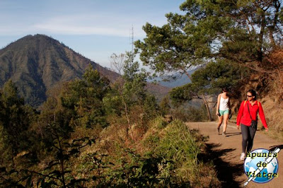 El camino hacia la cima