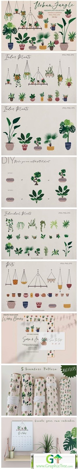 Hand Drawn Botanical Plant Illustration