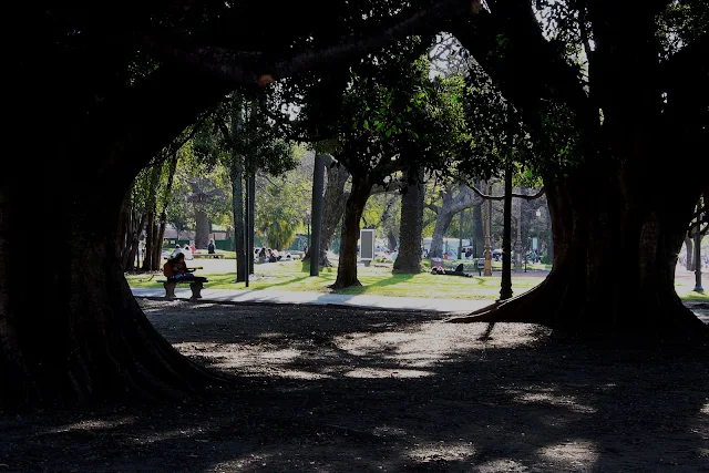 Paisaje arco de árboles y gente en la plaza'title=