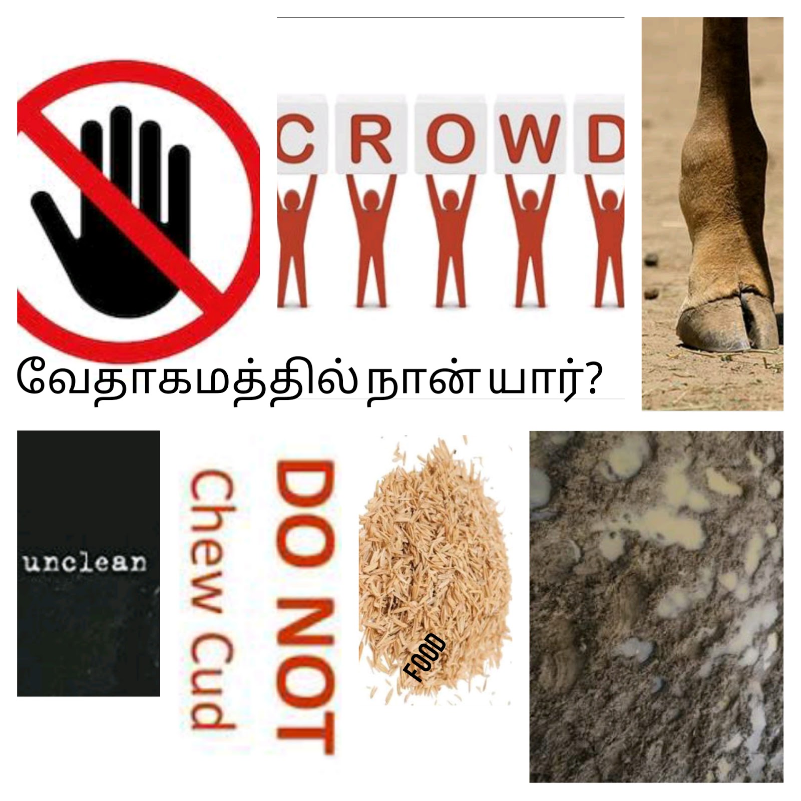Tamil bible search alaskafoo