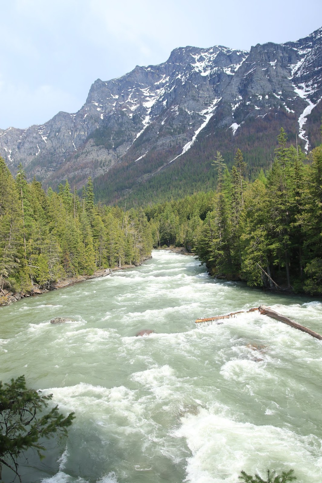 Les sacs dans le dos Bozeman et Glacier National park