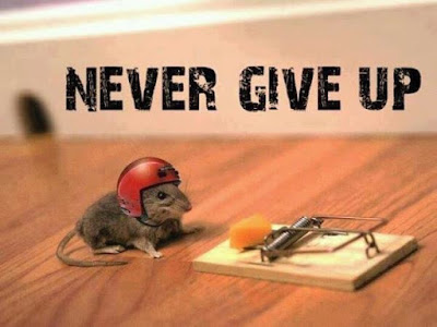 Never Give Up Image