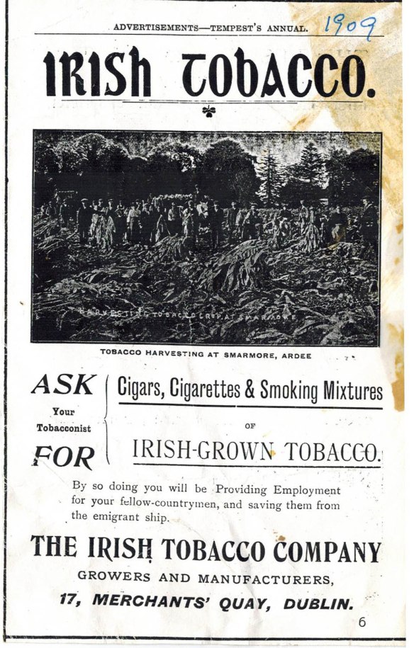 Gardening Matters Tobacco Growing in Ireland