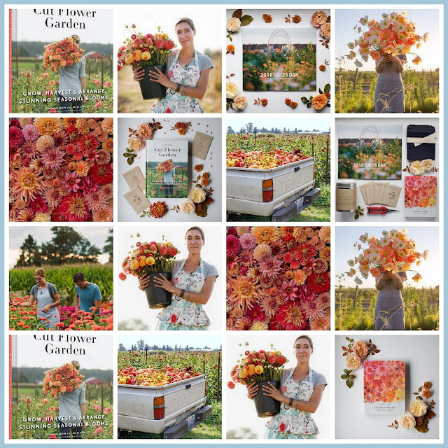 marieke nolsen Floret Flower /FarmerFlorist Collectief