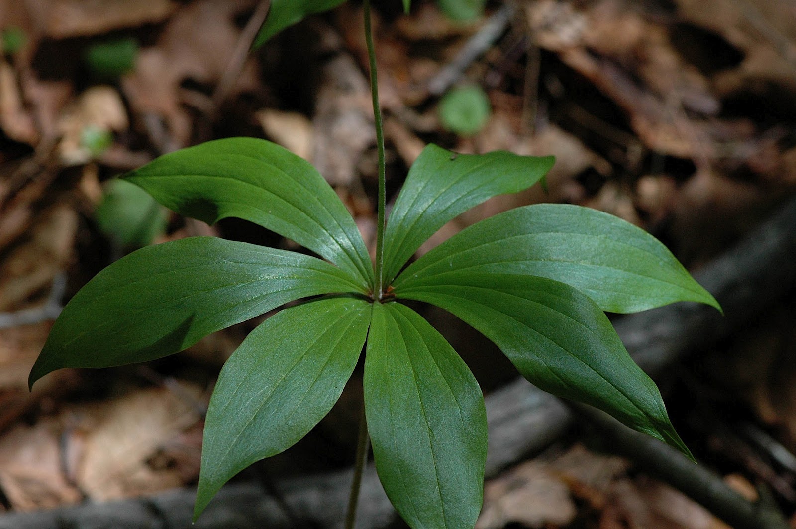 Field Biology in Southeastern Ohio Hiking Hocking Hills