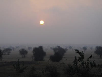 Desert in Rajasthan, Thar desert Jaisalmer
