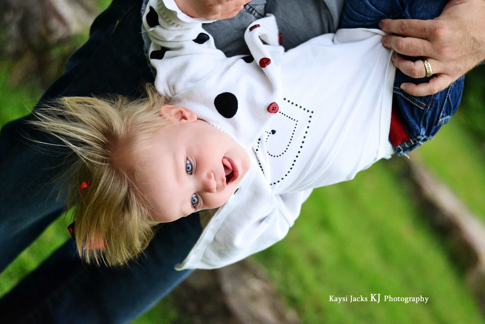 Kaysi Jacks Photography The Herring Family Photos 2012