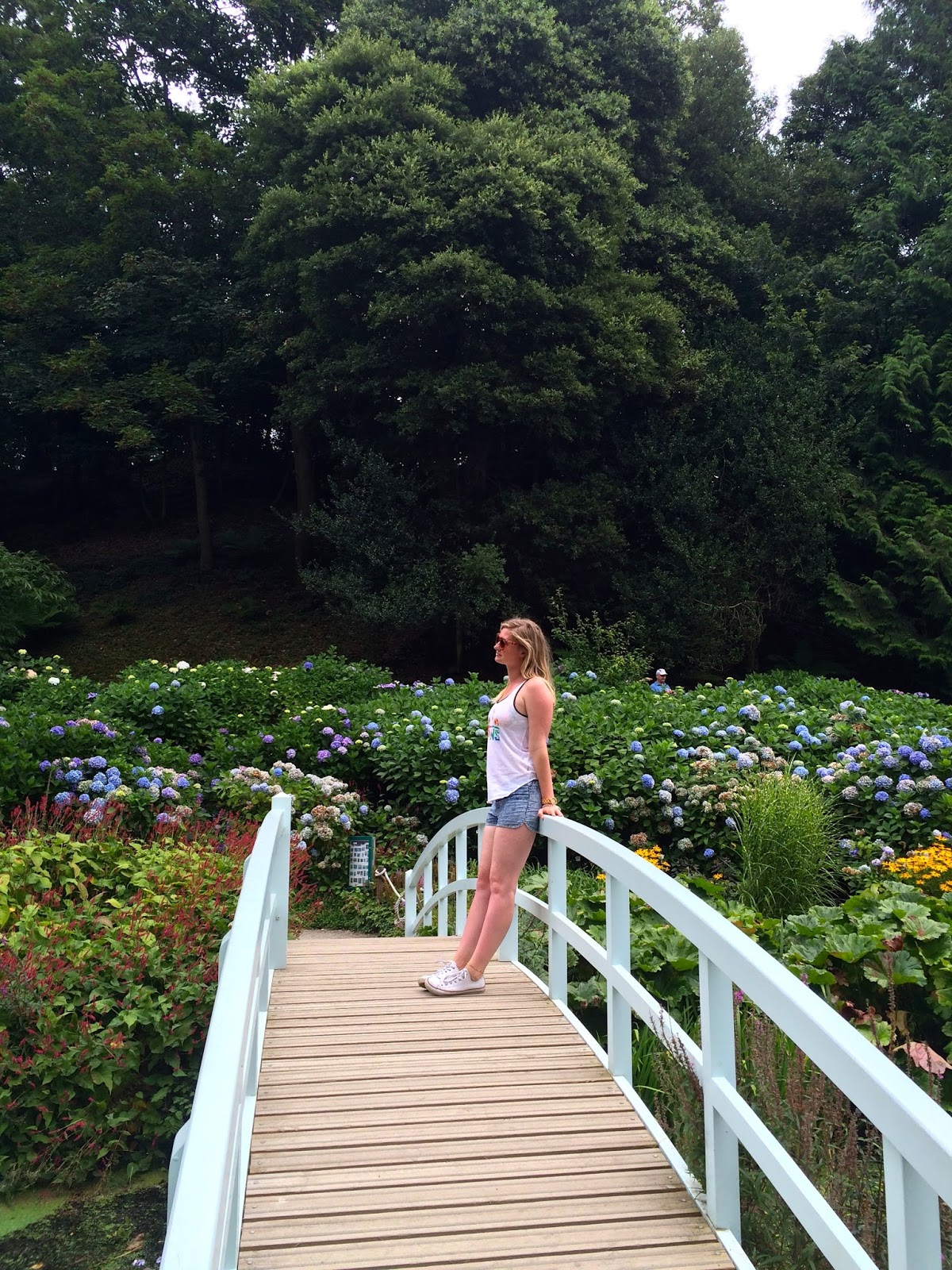 Trebah Gardens, Things to do in Cornwall, UK travel bloggers, hydrangea