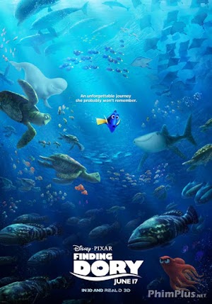 Phim Đi Tìm Dory - Finding Dory (2016)