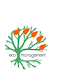  Ecomanagement “η γνώση του χθες, τεχνογνωσία του αύριο”...Συνάντηση στο Ζαγόρι 