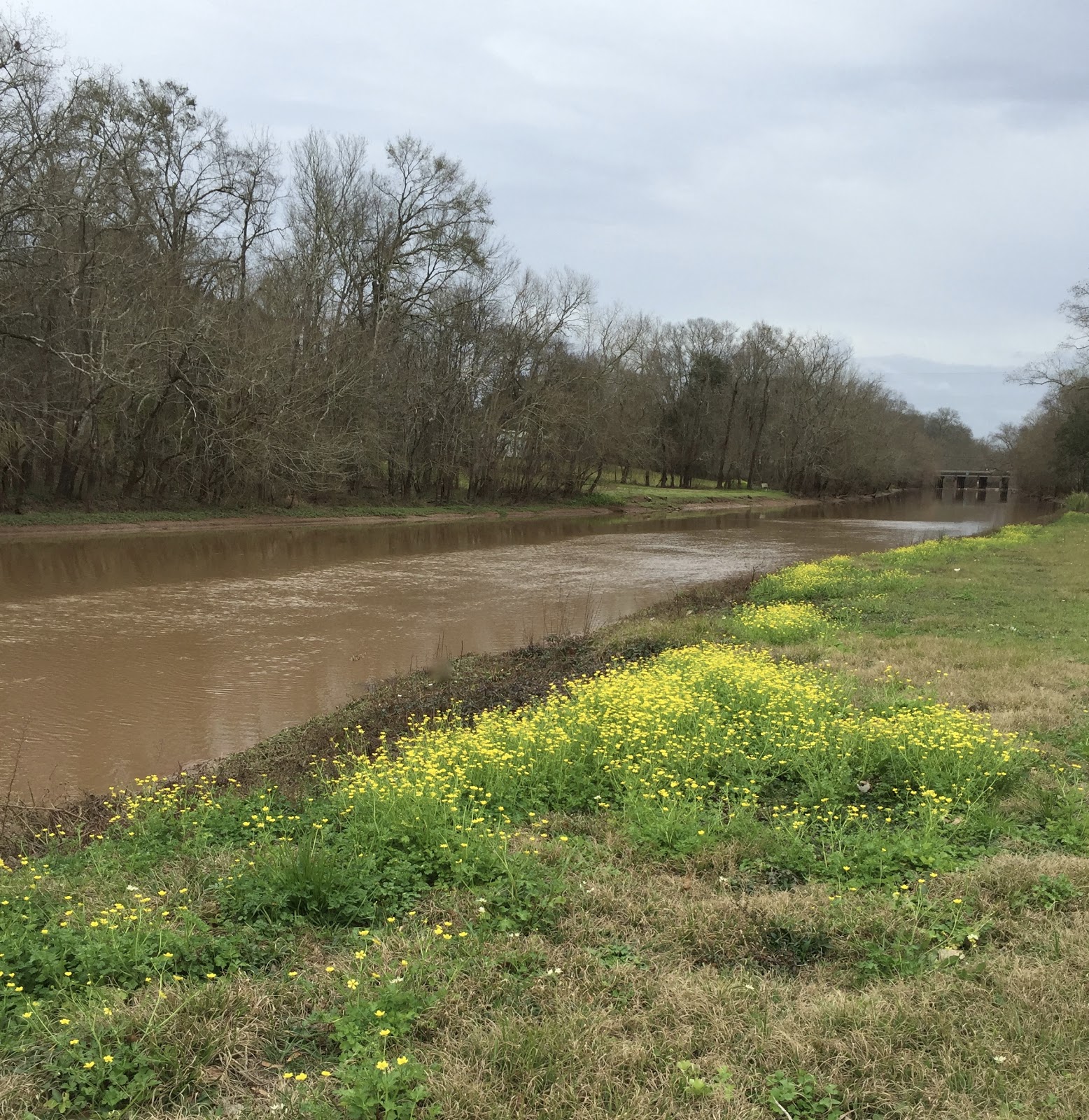 A Word's Worth ALONG THE TECHE