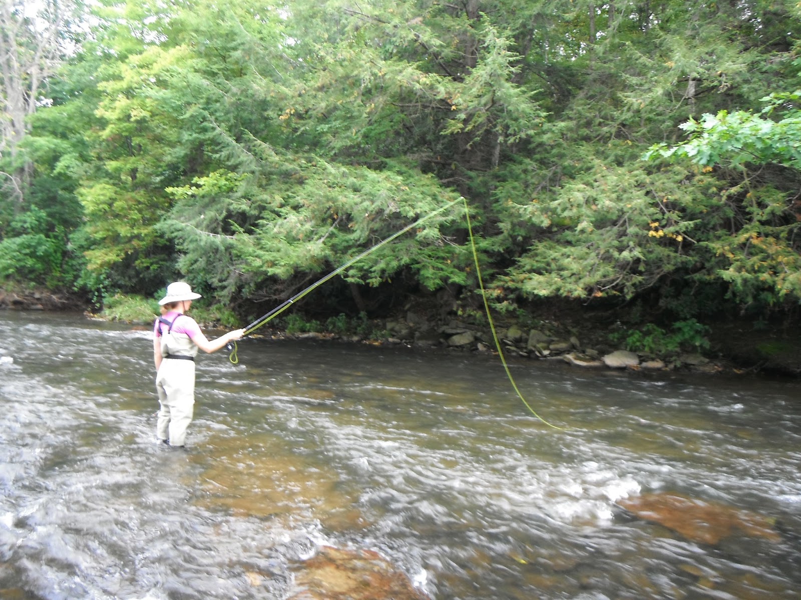 Western Maryland Fly Fishing Western Maryland fishing report Savage River and Casselman River