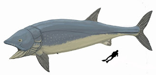 Leedsichthys Problematicus Leedsichthys Problematicus