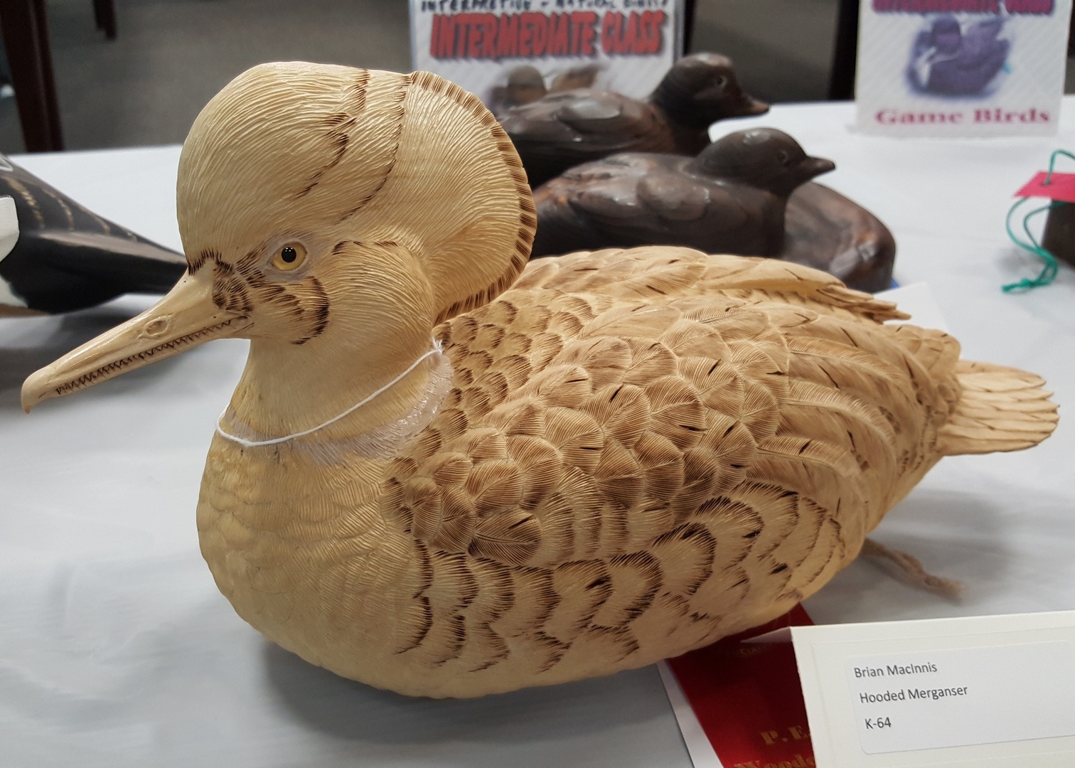Ales the woodcarver Photos from PEI wood carving show and competition 2017