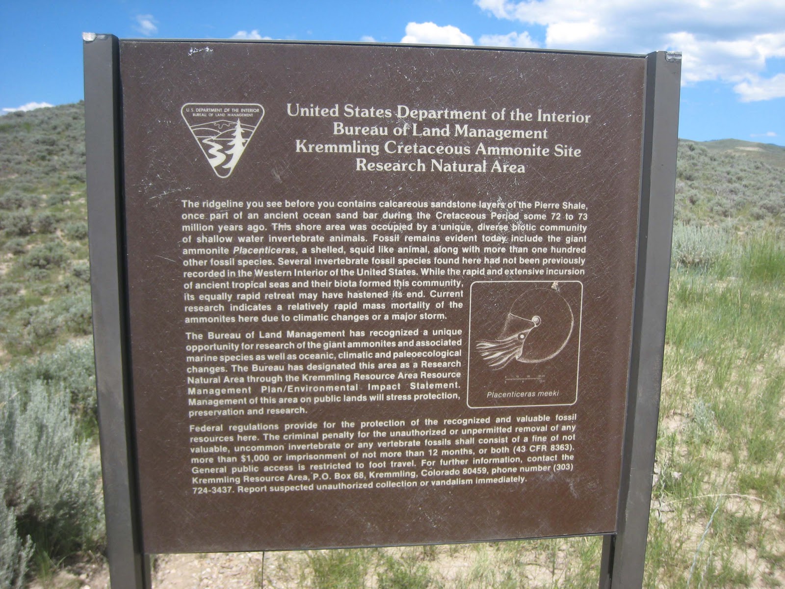 The Natural World The Story of the Kremmling Ammonite Site and a