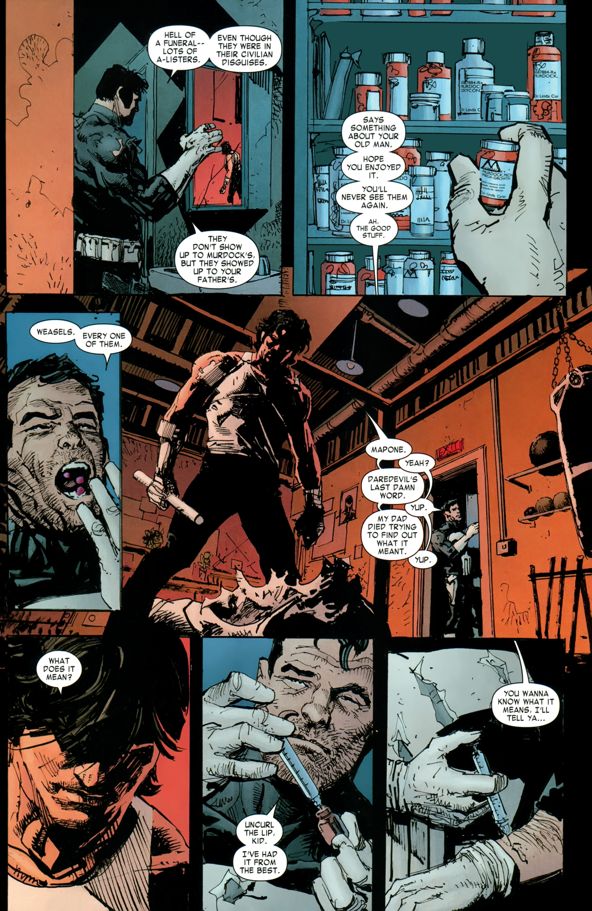 Read online Daredevil: End of Days comic -  Issue #8 - 13