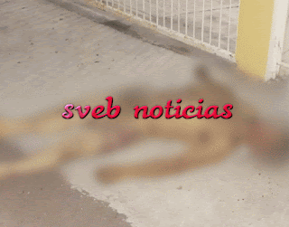 Tiran ejecutado desnudo sobre banqueta en Puente Nacional Veracruz
