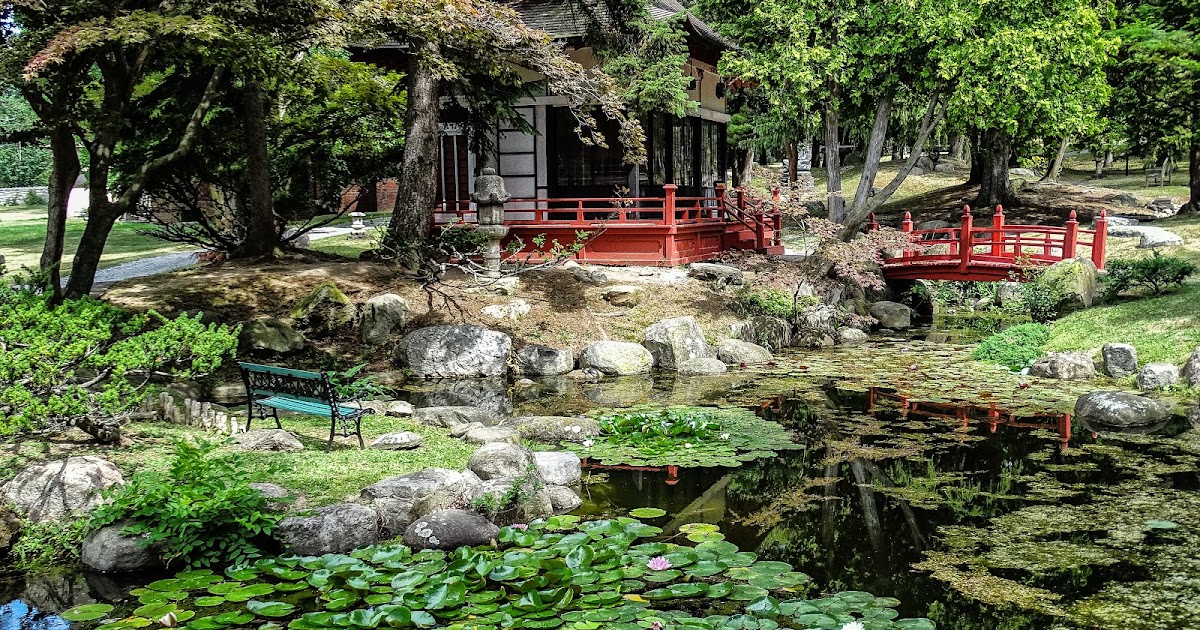 Walking Arizona Japanese Garden