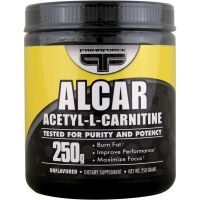 carnitine carnitine