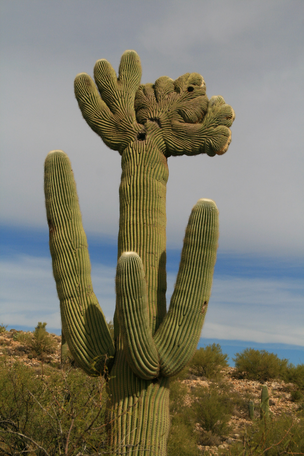John and Aileen sometimes on the road: BUSY, BUSY AND PROCRASTINATING