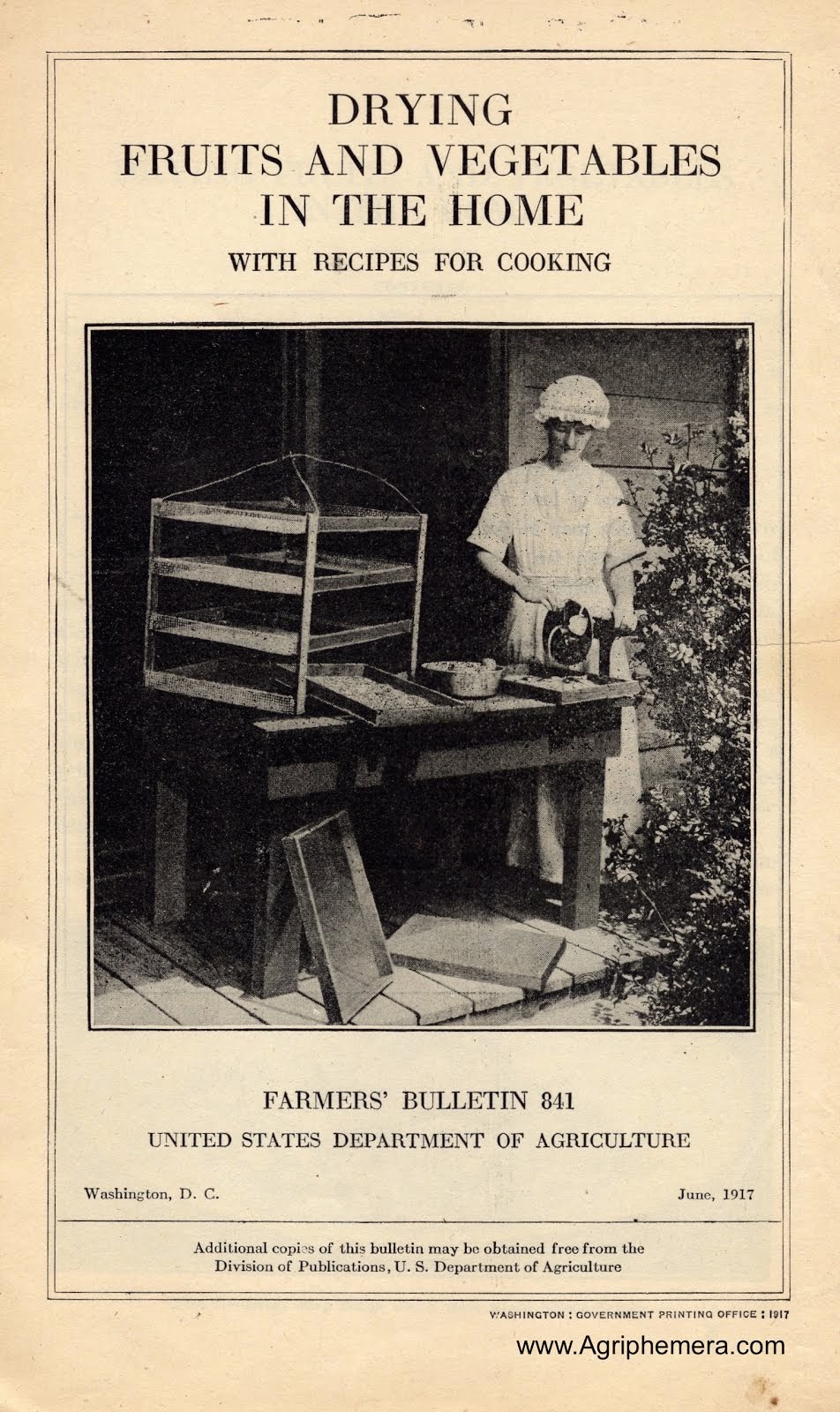 Drying Fruits and Vegetables In The Home (1917)