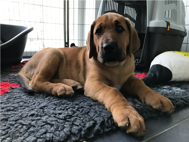 Olutvinkkejä ja 360-kuvia Tanskan Middelfartista 15