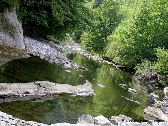 La Selva de Irati, Navarra