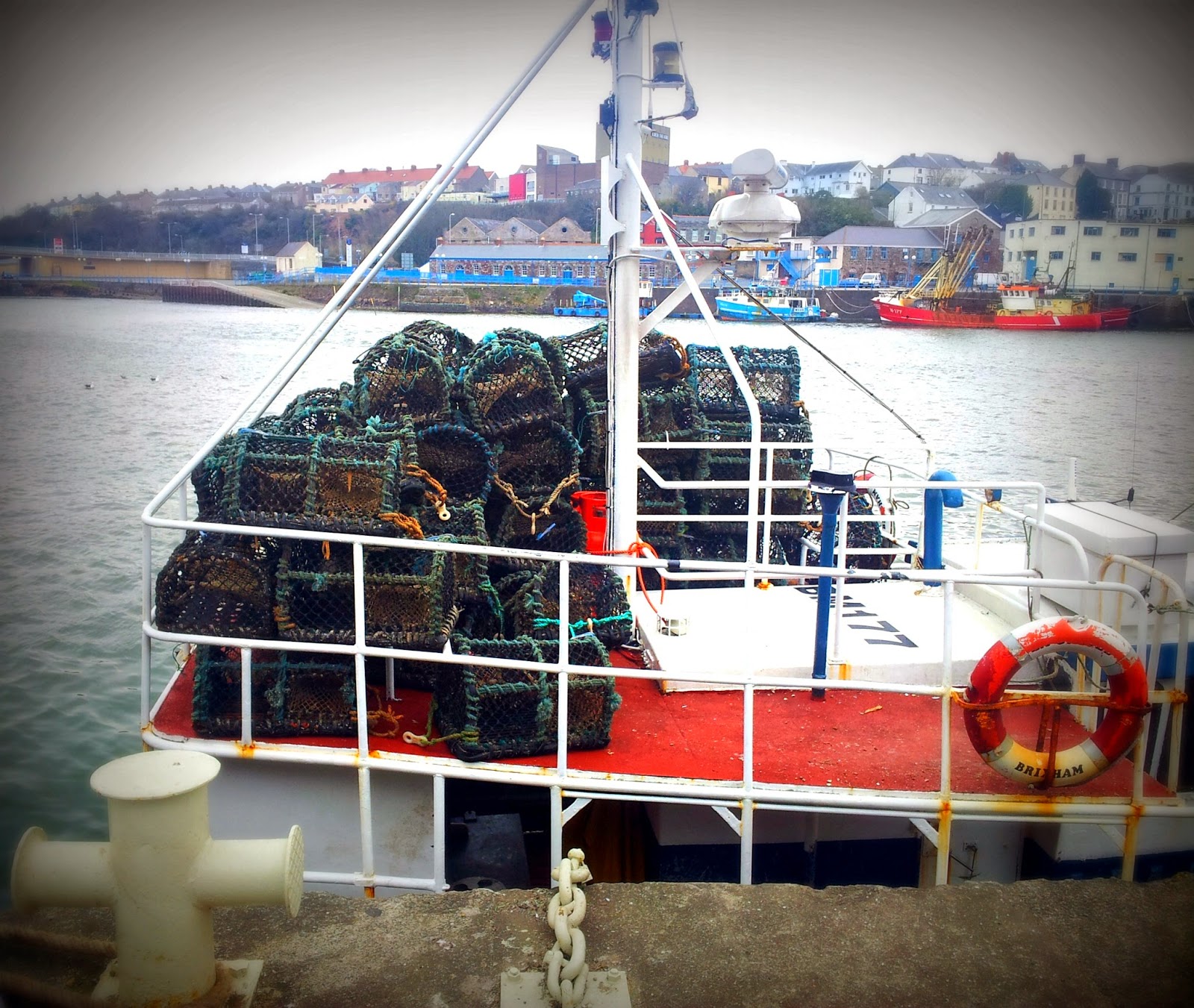 , Milford Haven:The Docks- Lobster Pots and Hermit Crabs