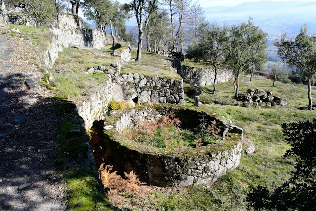 Citânia de Briteiros