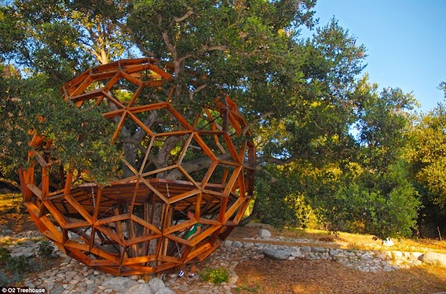 World's most extraordinary tree houses revealed in breathtaking pictures