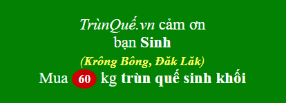 Trùn quế huyện Krông Bông