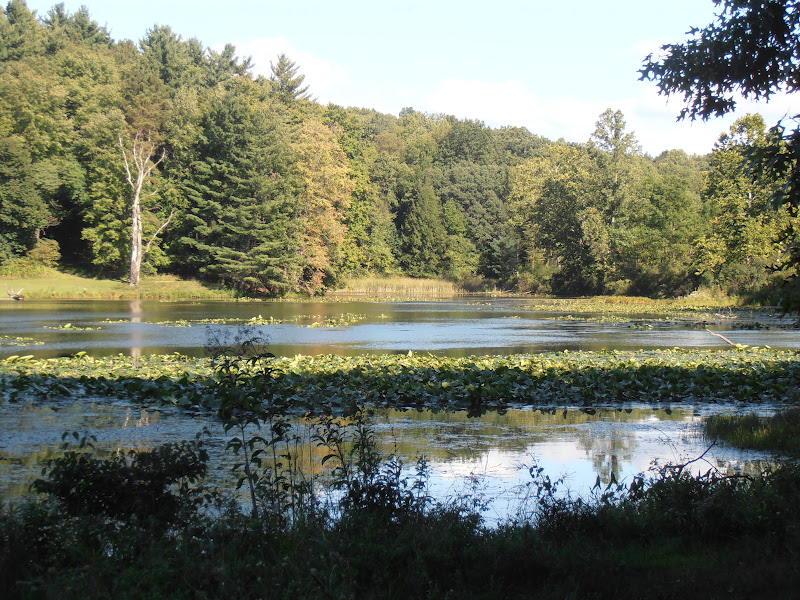 American Travel Journal Cuyahoga Valley National Park Kendall Lake