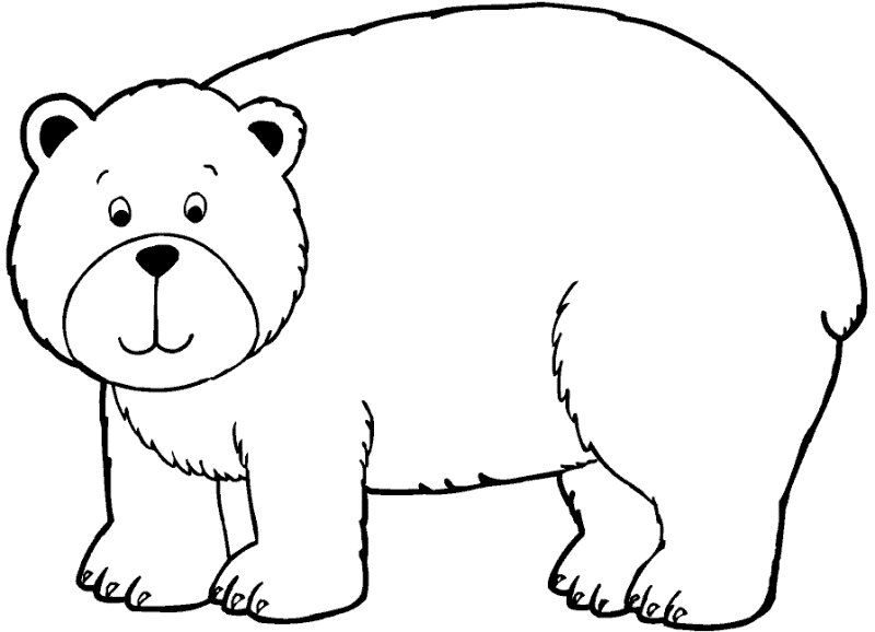 Belajar mewarnai  gambar  binatang untuk anak beruang yang 